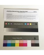 Danes Picta Small Grey Scale and Colour Separation Guide