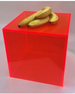 LuxS Medium Neon Acrylic Posing Block Cube