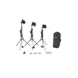 Dedolight 3 Head 150W Basic Dimmer Kit Soft Case