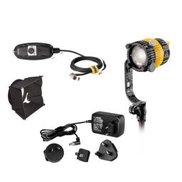 Dedolight 20W LED Daylight System, Includes Fixture, Barndoors, Dimmer & Transformer