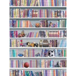 Denny 1.5 x 1.8m Playbrary Printed Canvas Backdrop