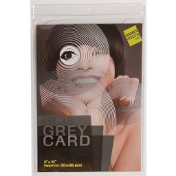 Danes Picta Grey Card Large