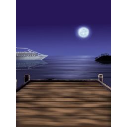 Denny 2.4 x 2.7m Moonlight Bay Printed Canvas Backdrop 