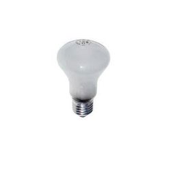 Elinchrom Modelling Lamp Bulb 100w E27