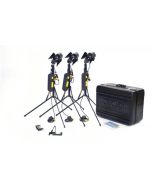 Dedolight Basic 150W 24V Tungsten Kit