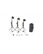 Dedolight 3 Head 150W Basic Dimmer Kit Soft Case