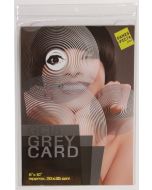 Danes Picta Grey Card Large