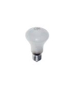 Elinchrom Modelling Lamp Bulb 100w E27
